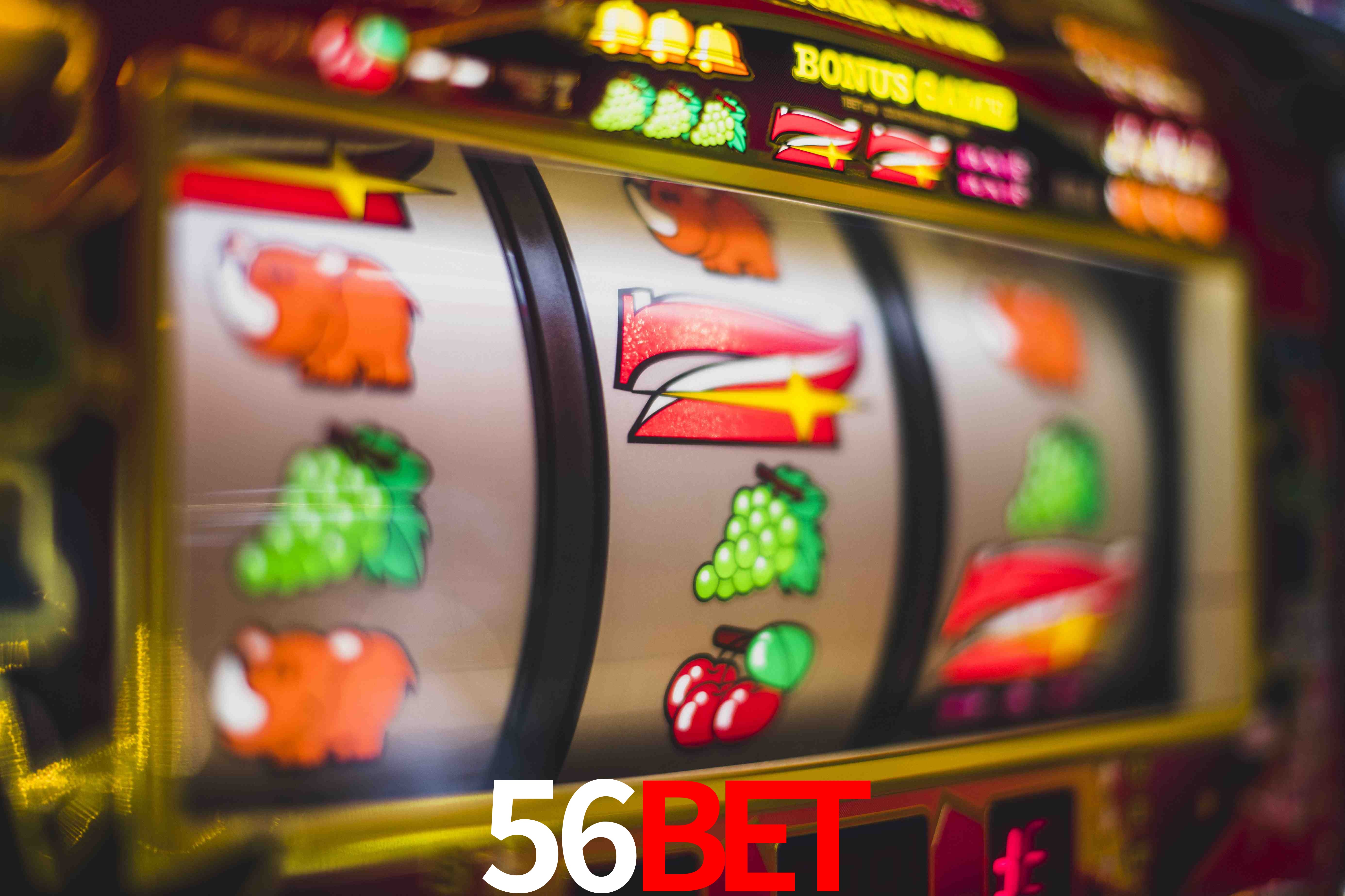 Secure Login 56Bet